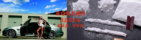 тгк Лиски