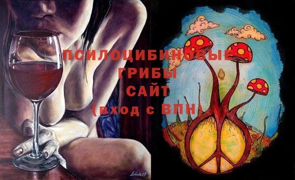 тгк Лиски