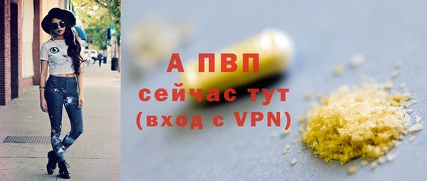 индика Липки