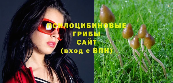 индика Липки