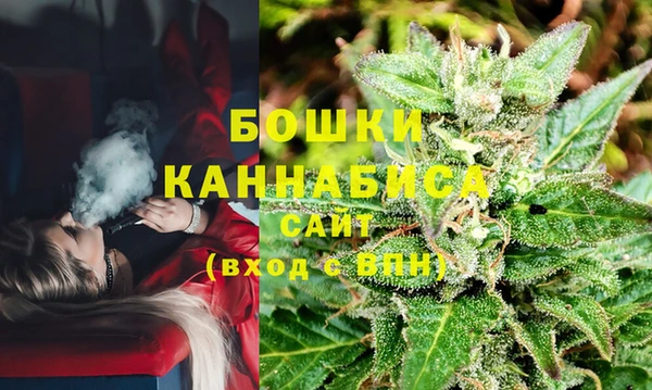 индика Липки