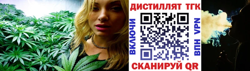 ТГК концентрат  Купить где  Минеральные Воды 